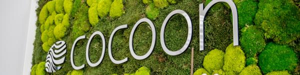 cocoon GmbH cover image