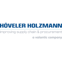 HÖVELER HOLZMANN CONSULTING GmbH logo image